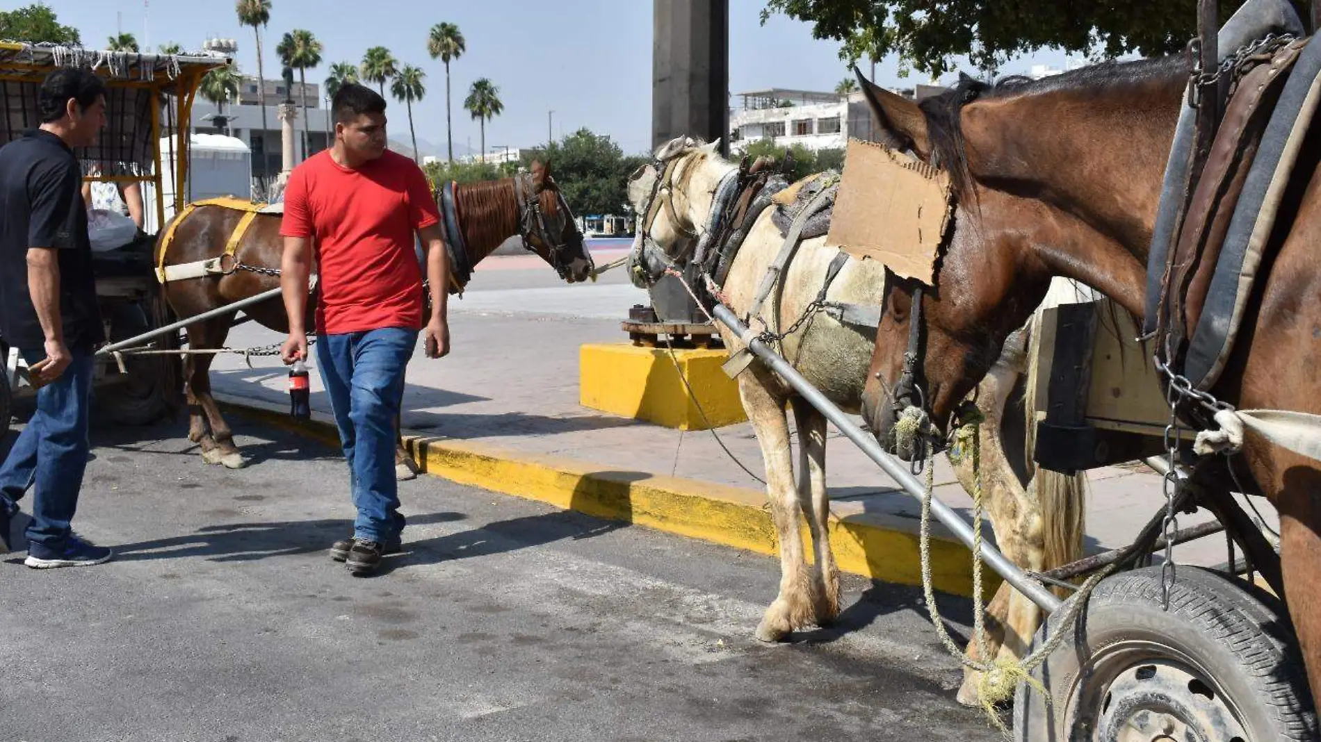 15 Carromateros se concentran en Plaza Mayor2